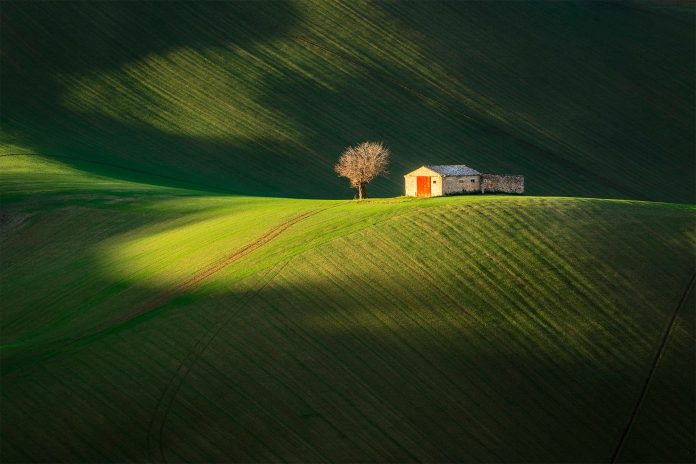 Le foto più belle postate sui social /71